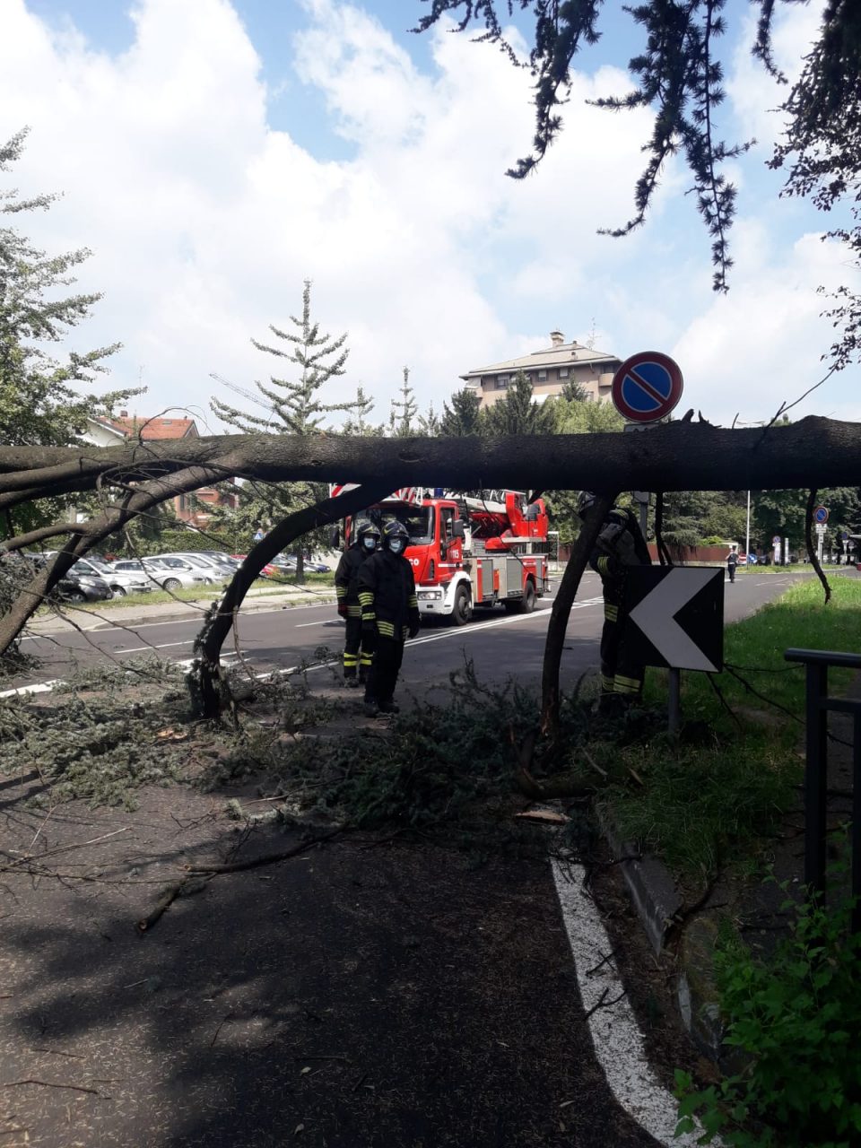 Grosso ramo di un albero crolla sulla strada in viale Romagna FOTO