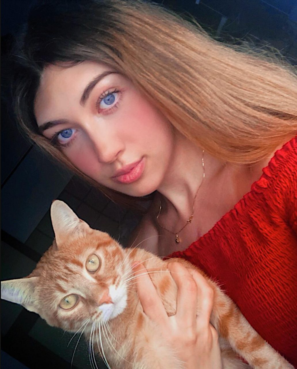 Gatto torna a casa dopo sei mesi