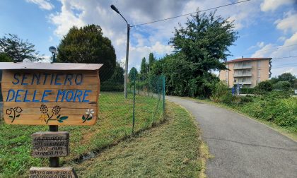 Riqualificazione per il sentiero delle more