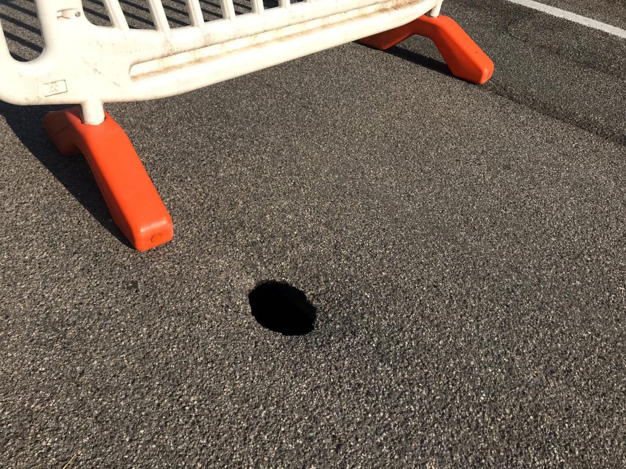 Bernareggio, torna l’incubo occhio pollino