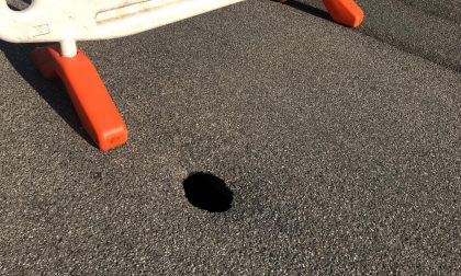 Bernareggio, torna l'incubo occhio pollino