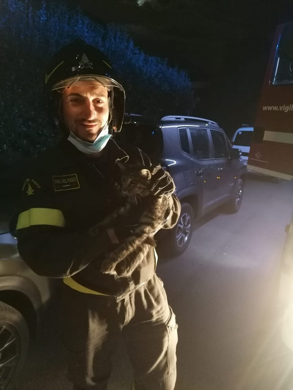Si accorge di un gatto nel vano motore, i pompieri lo salvano FOTO VIDEO