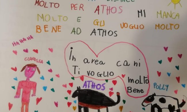 Addio ad “Athos”, cane donatore di sangue: il commovente disegno di una bimba