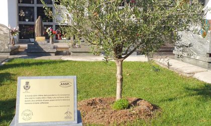 Un cippo al cimitero per le vittime del Covid