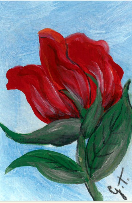 Una rosa d’autore per i donatori dell’Aido Giussano
