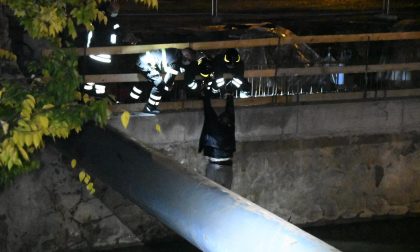 Giovane finisce nel Lambro: intervengono i Vigili del fuoco FOTO VIDEO