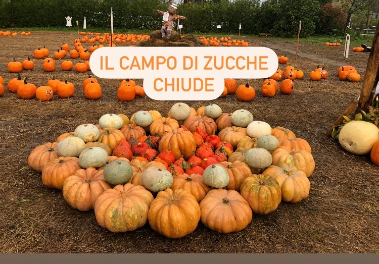 Il campo di zucche chiude. La scelta coraggiosa della titolare “per la sicurezza di tutti”
