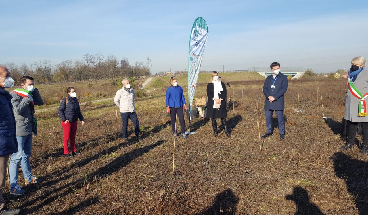 Un nuovo bosco tra Caponago e Pessano: “Fedrigoni” regala oltre 1500 alberi