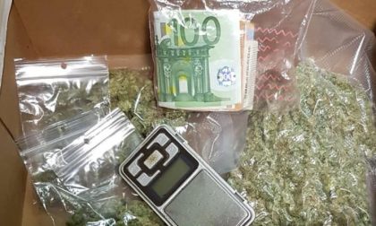 Seregno: 24enne trovato con marijuana e mille euro in contanti finisce nei guai