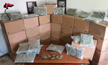 Sequestrati 276 chili di marijuana per un valore di oltre un milione di euro