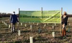 Due ettari di ossigeno in più grazie al nuovo bosco urbano in viale Sant’Anastasia