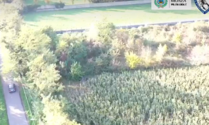 Blitz antidroga nel quartiere Sant'Albino a Monza VIDEO