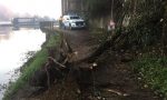 Trezzo, domenica di lavoro per i volontari della Protezione civile a causa di piante e rami caduti FOTO