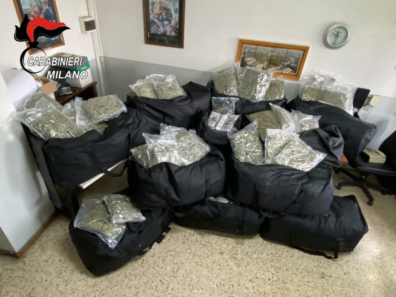 Sequestrati 220 chili di marijuana e hashish. Sui panetti c’era la faccia di Goku