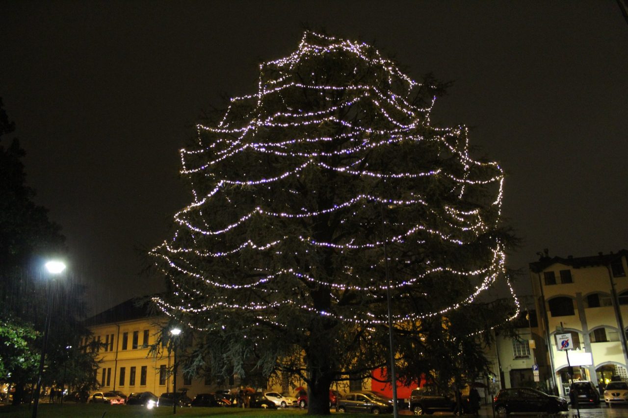 Natale a Lissone: oggi si accende il grande albero