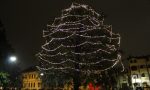Natale a Lissone: oggi si accende il grande albero