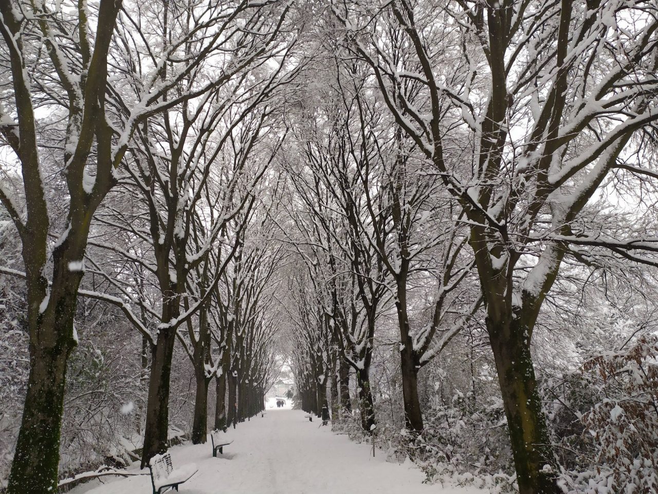 Neve a bassa quota, scatta l’allerta meteo per domani. Ecco il bollettino della Protezione Civile