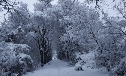 La neve ha acceso di magia il Parco GruBria: attrattiva per i muggioresi