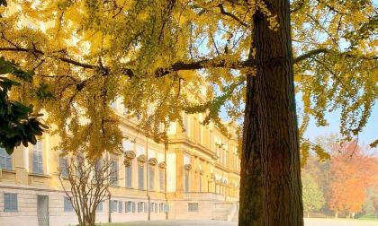 La Villa Reale e il foliage: ecco i vincitori dell'Instagram photo contest