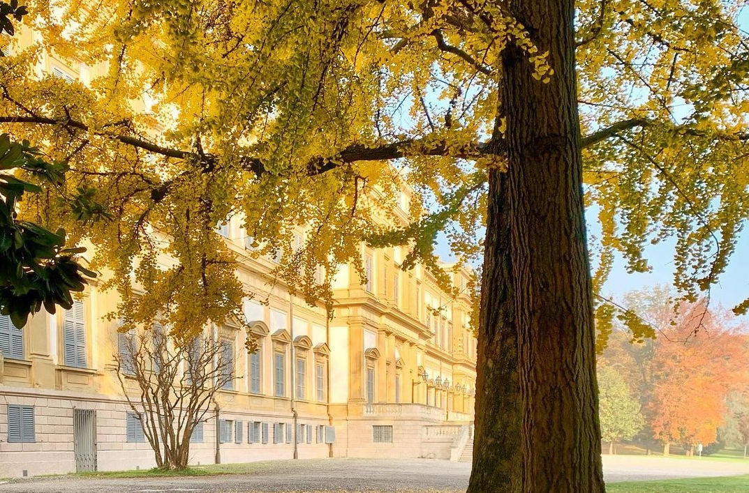 La Villa Reale e il foliage: ecco i vincitori dell’Instagram photo contest