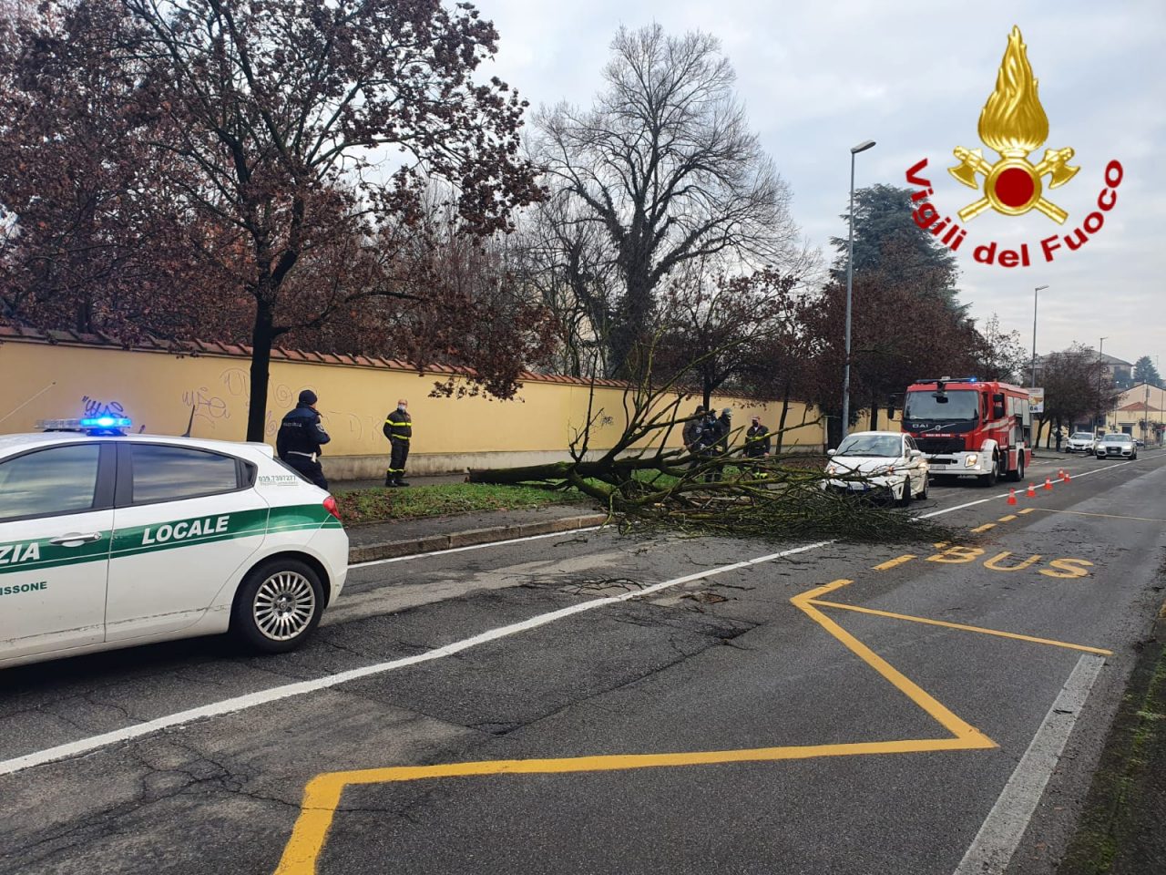 Albero si abbatte sulla strada, auto miracolata – FOTO