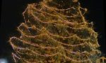 Natale: domani il grande albero si accende... online