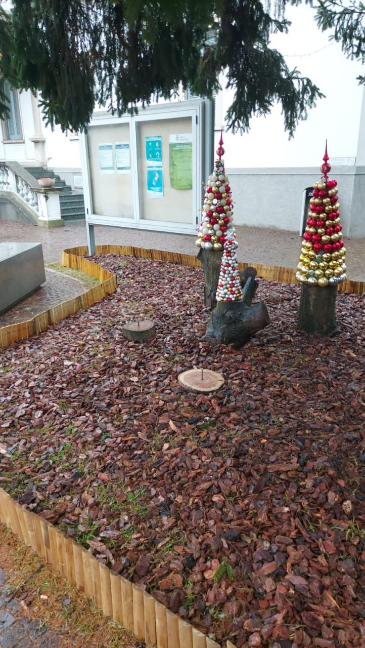 Rubati gli addobbi natalizi dall’Albero di Natale