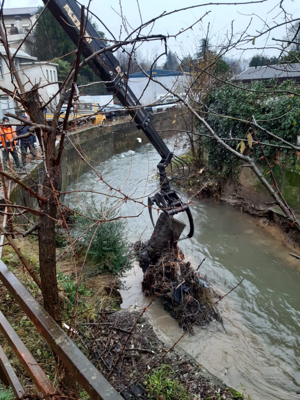 Rimosso un albero caduto nel Molgora