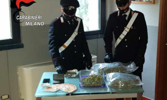 Spacciava marijuana ed hashish, arrestato 24enne