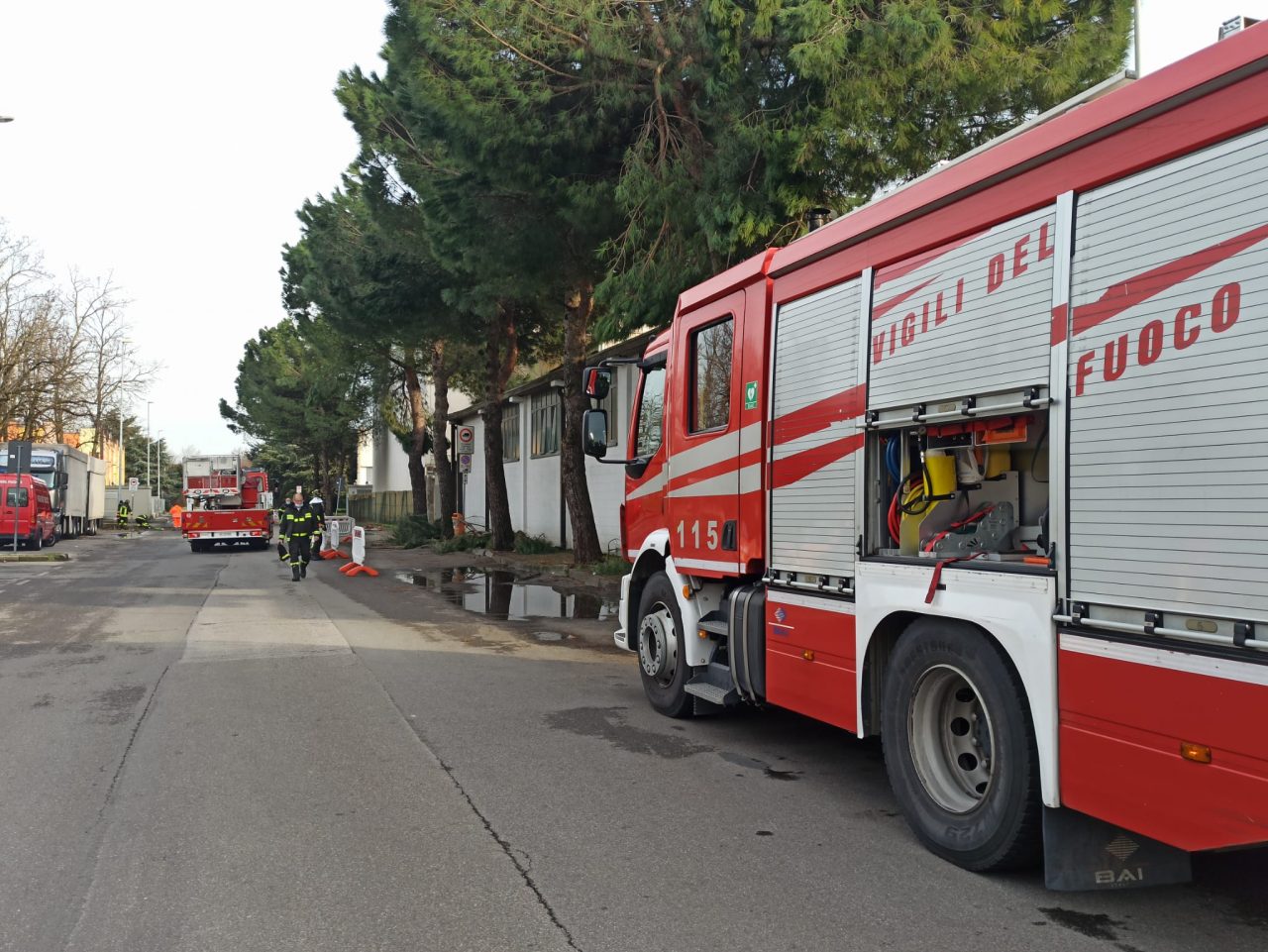 Albero pericolante: l’area in sicurezza grazie ai Vigili del fuoco – FOTO