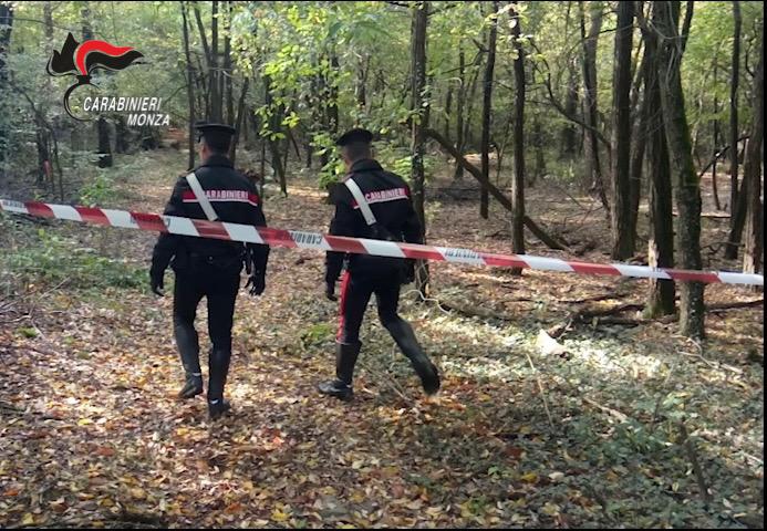 Spaccio nel Parco delle Groane, chiesti 13 e 12 anni di reclusione a due pusher