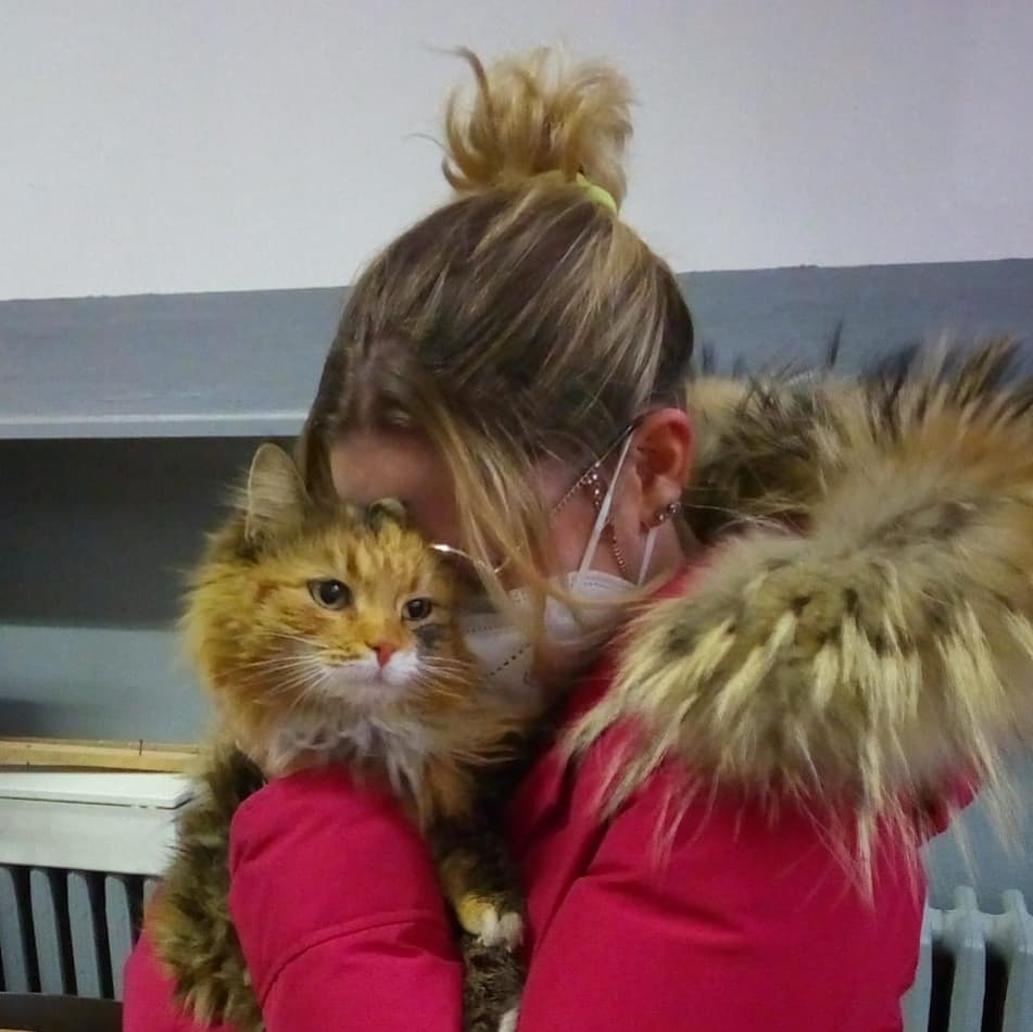 Gattina torna a casa dopo un mese e mezzo