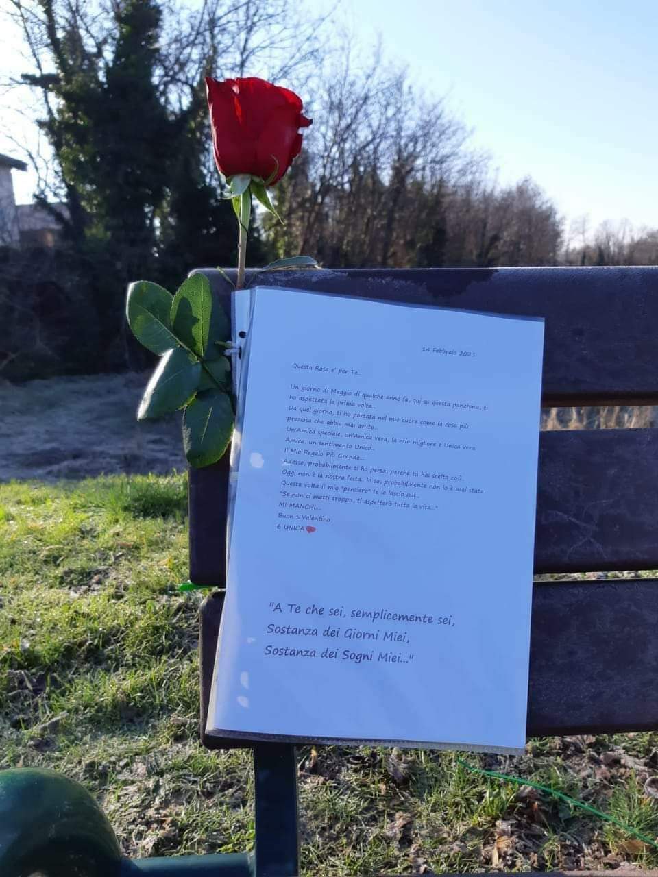 Una rosa rossa e una lettera d’amore per l’amica perduta
