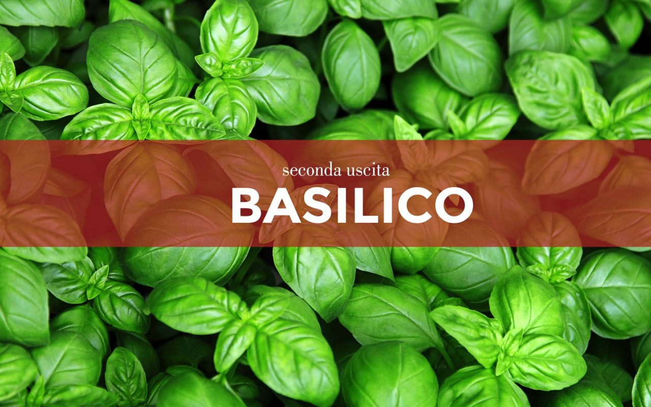Tutti ortisti: da oggi in edicola con i nostri settimanali i semi di basilico