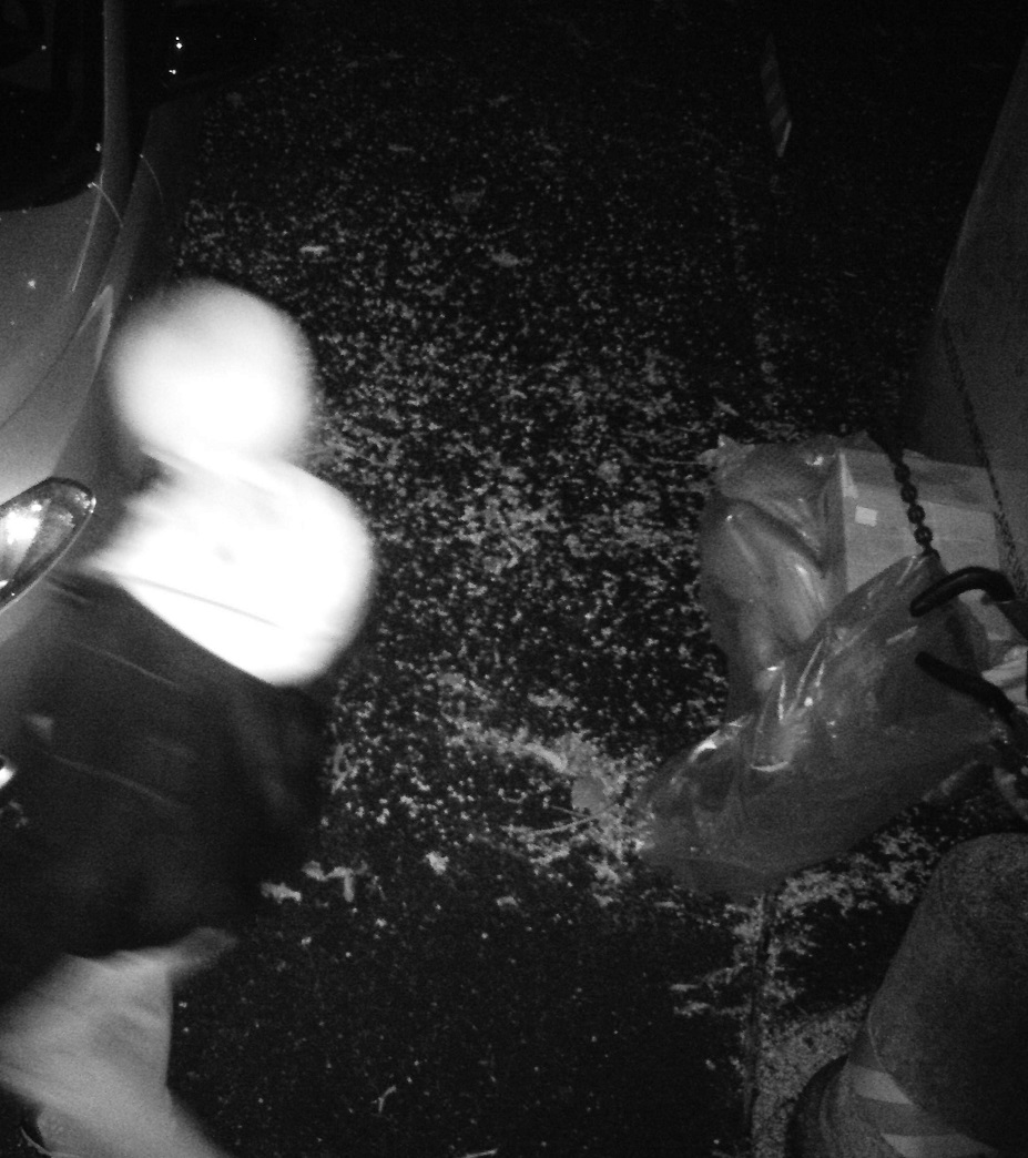 Fototrappole contro l’abbandono abusivo dei rifiuti