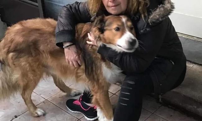 Incidente mortale in autostrada: addio all’animalista Elisabetta Barbieri