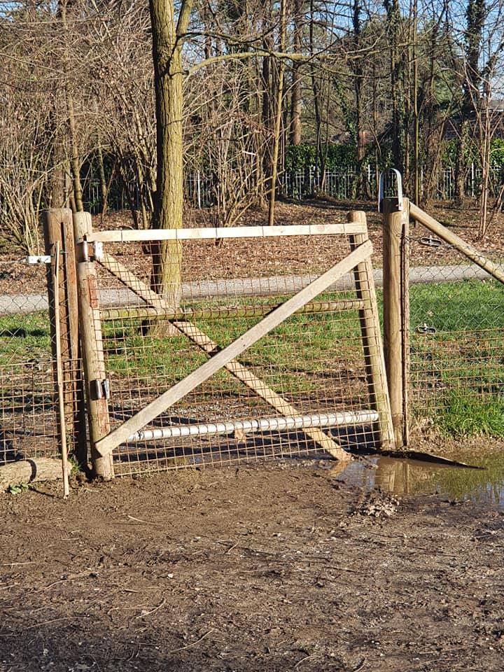 Leidaa scrive al sindaco di Arcore: area cani da riqualificare