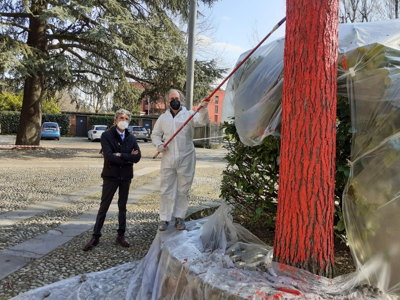Un albero per la speranza a Santa Maria delle Grazie