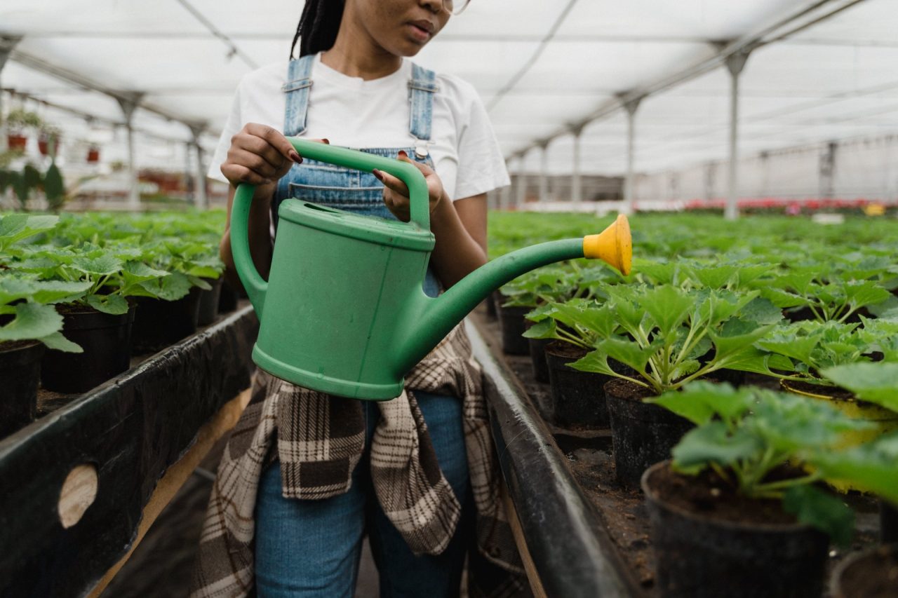 I giovani investono sull’agricoltura: aumentano del 14% gli imprenditori under 35