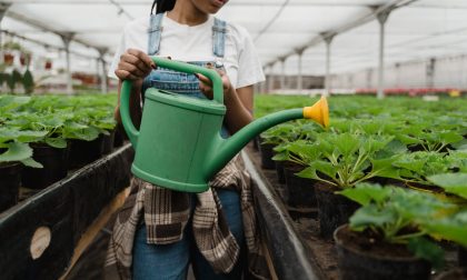 I giovani investono sull’agricoltura: aumentano del 14% gli imprenditori under 35