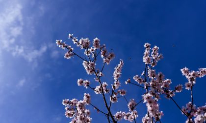 Tempo soleggiato e temperature in rialzo | Meteo Lombardia