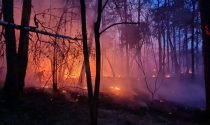 Grosso incendio nel Parco delle Groane in fumo 40 mila metri quadri