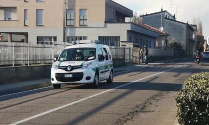Molossi azzannano passanti e un cane: sanzionato il proprietario