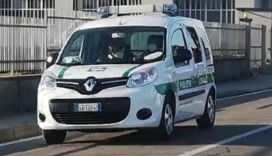 Molossi azzannano  passanti e un cane: sanzionato il proprietario