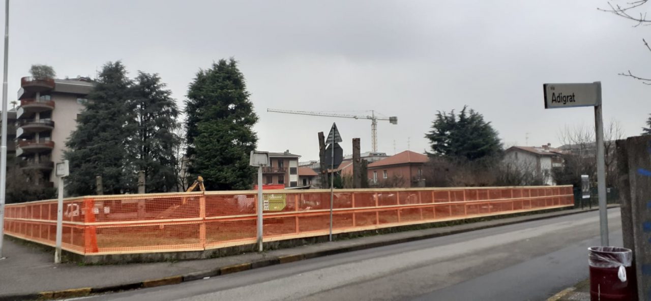 Legambiente chiede un regolamento per il verde privato e il censimento degli alberi monumentali