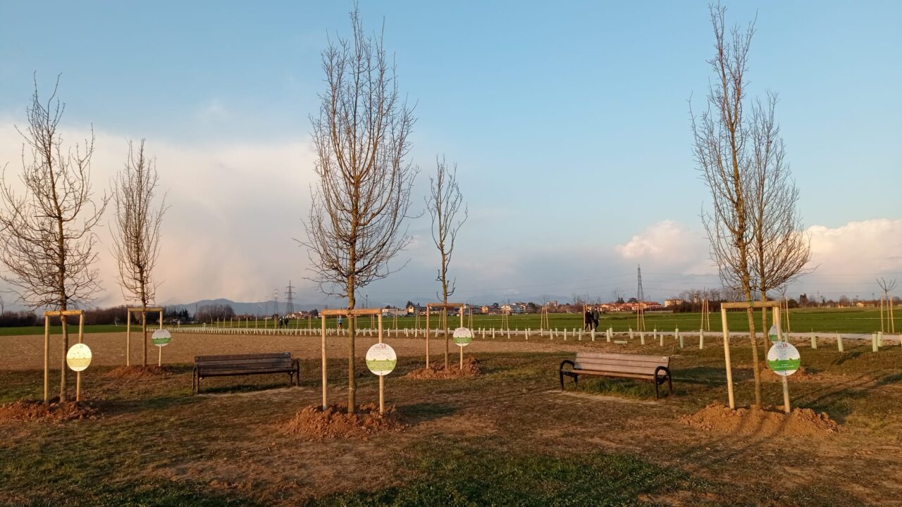 “Un albero per ogni classe” lungo il sentiero delle Moiacche