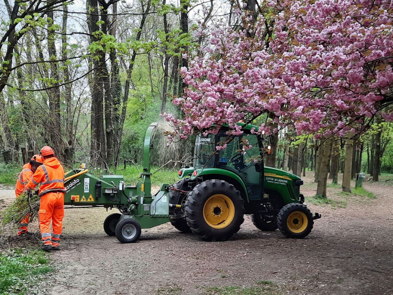 Lissone ambiente Bosco Urbano