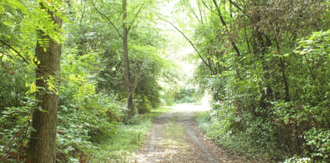 Educazione ambientale al Parco delle Groane: un nuovo progetto coinvolge gli studenti di Limbiate