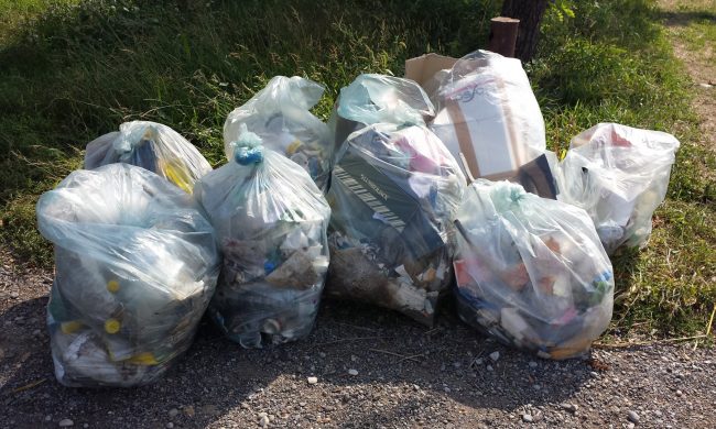 Giornata ecologica domenica a Ceriano Laghetto