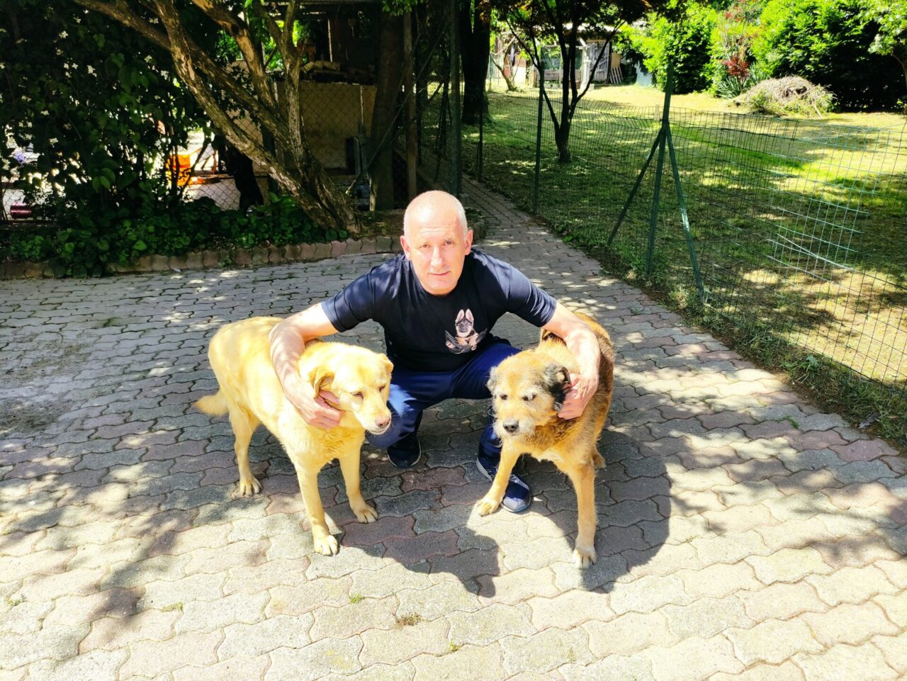 Trasforma la sua cascina in una casa di riposo per cani e gatti